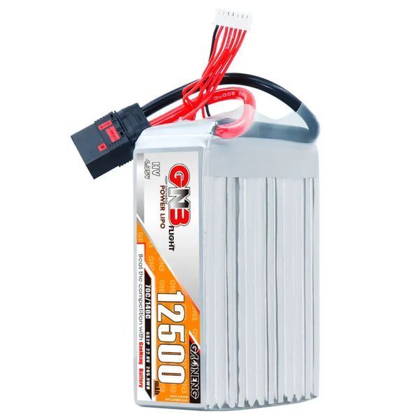 Акумулятор GNB GAONENG 12500 mAh, 6S2P BAT800034 фото