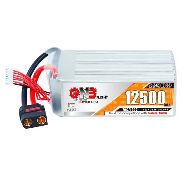 Акумулятор GNB GAONENG 12500 mAh, 6S2P BAT800034 фото